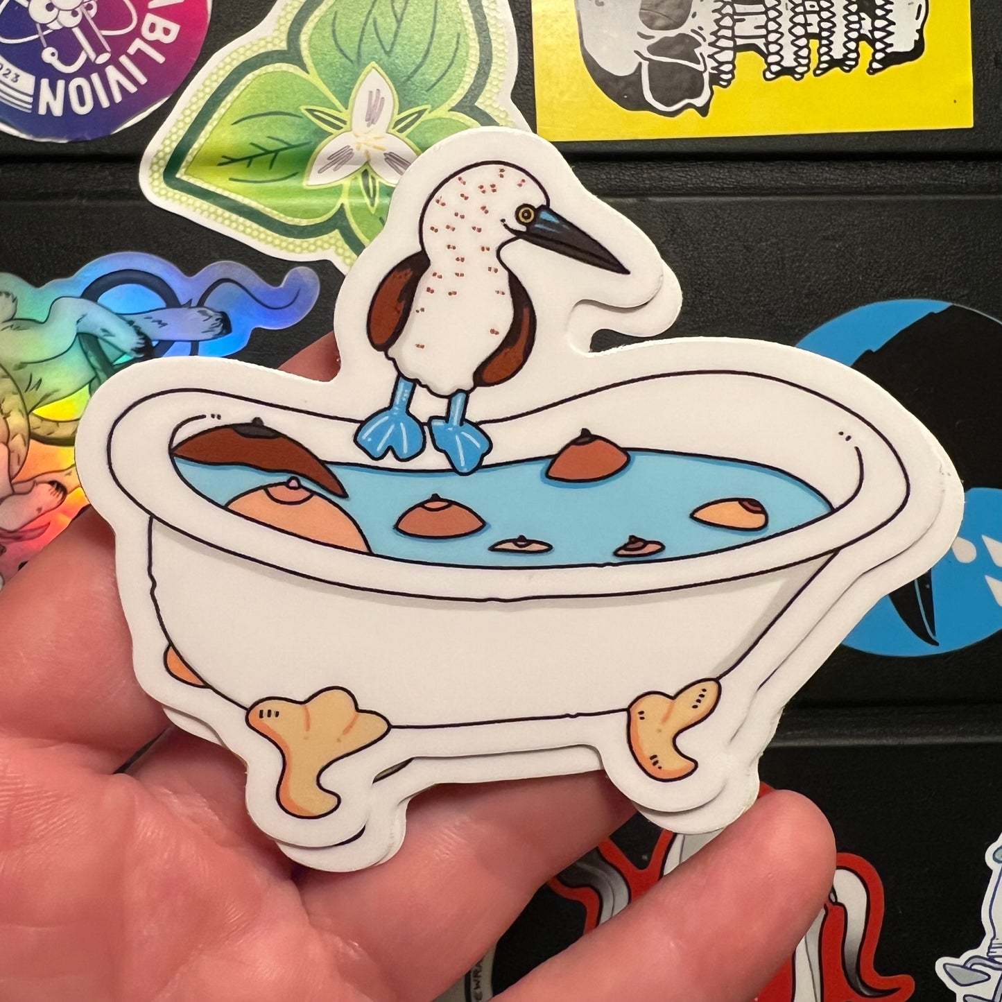 Blue Footed Booby Bath Sticker