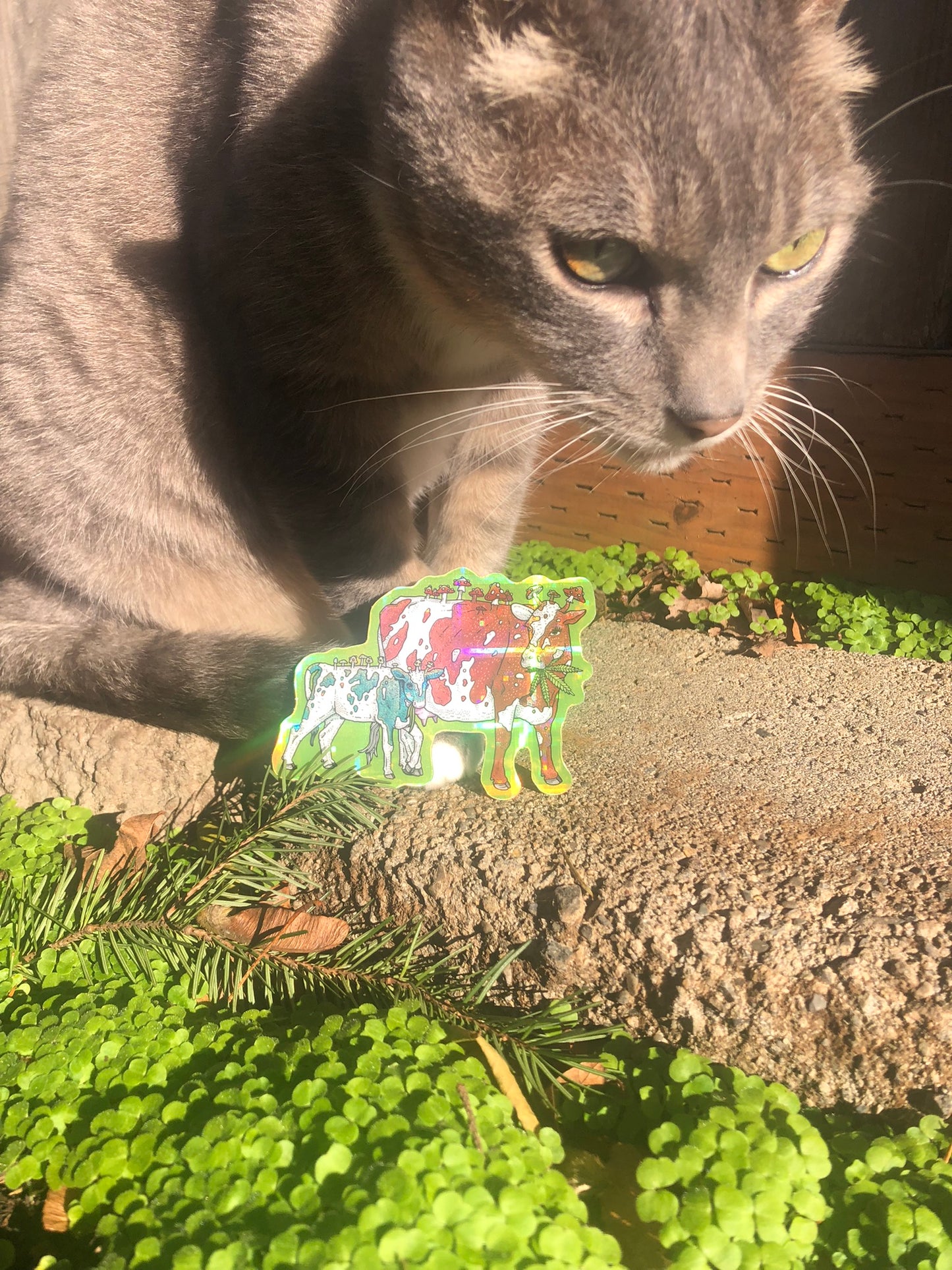 Mooshroom Sticker